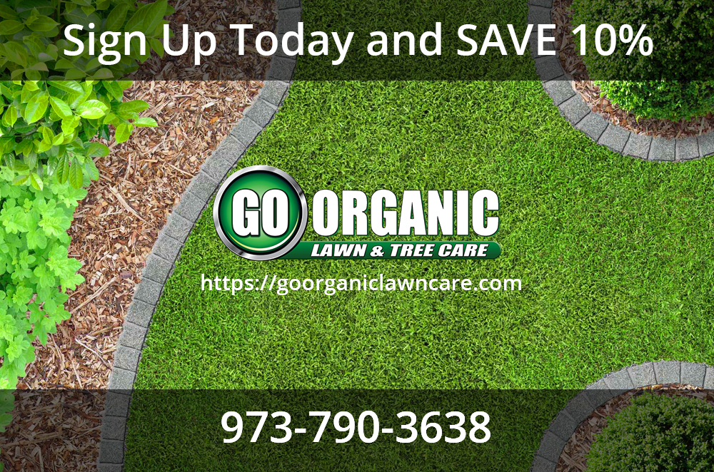 organic lawn service